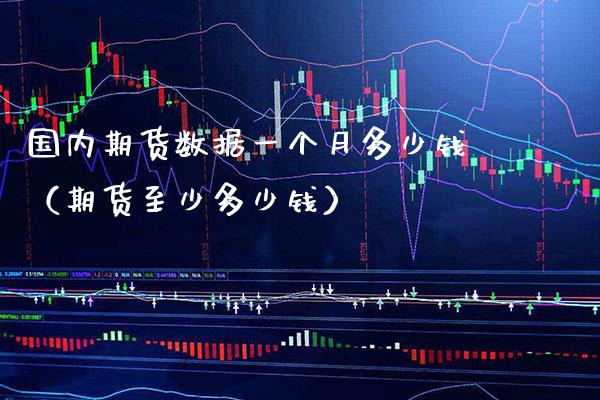 国内期货数据一个月多少钱（期货至少多少钱）_https://www.xmqjcw.com_期货投资_第1张