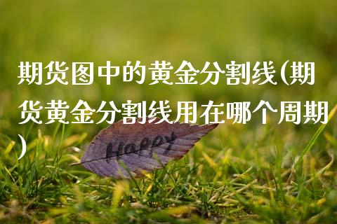 期货图中的黄金分割线(期货黄金分割线用在哪个周期)_https://www.xmqjcw.com_股票投资_第1张