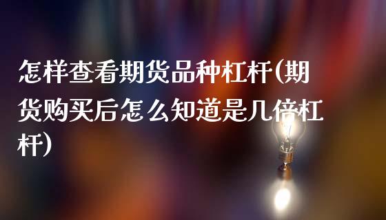 怎样查看期货品种杠杆(期货购买后怎么知道是几倍杠杆)_https://www.xmqjcw.com_期货百科_第1张