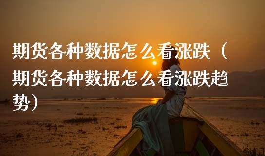 期货各种数据怎么看涨跌（期货各种数据怎么看涨跌趋势）_https://www.xmqjcw.com_期货行情_第1张