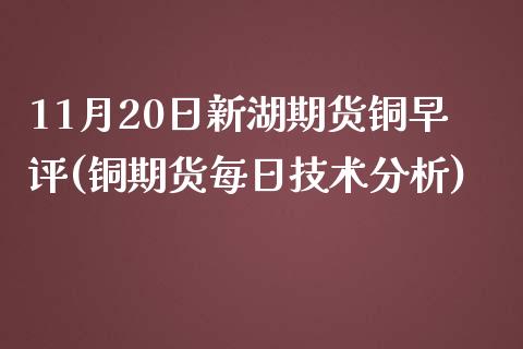 11月20日新湖期货铜早评(铜期货每日技术分析)_https://www.xmqjcw.com_期货行情_第1张