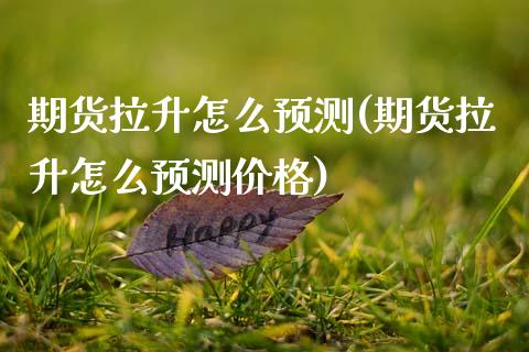 期货拉升怎么预测(期货拉升怎么预测价格)_https://www.xmqjcw.com_期货行情_第1张