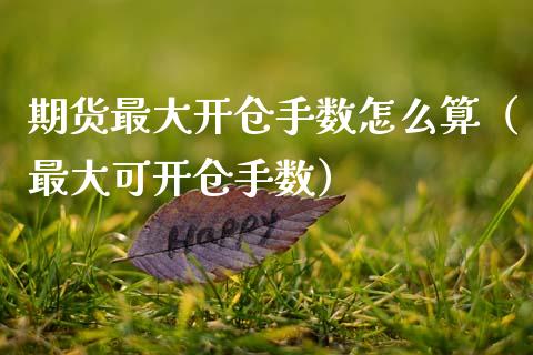 期货最大开仓手数怎么算（最大可开仓手数）_https://www.xmqjcw.com_期货直播室_第1张