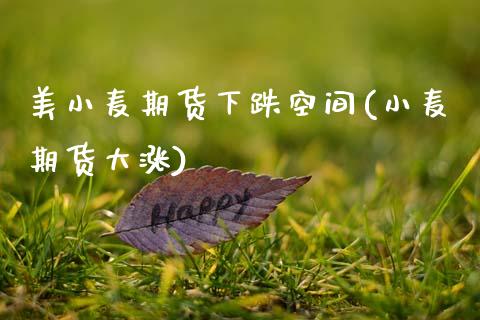 美小麦期货下跌空间(小麦期货大涨)_https://www.xmqjcw.com_期货投资_第1张