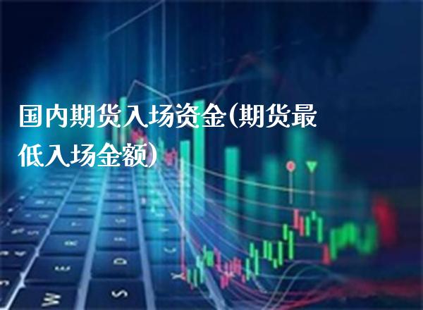 国内期货入场资金(期货最低入场金额)_https://www.xmqjcw.com_期货百科_第1张