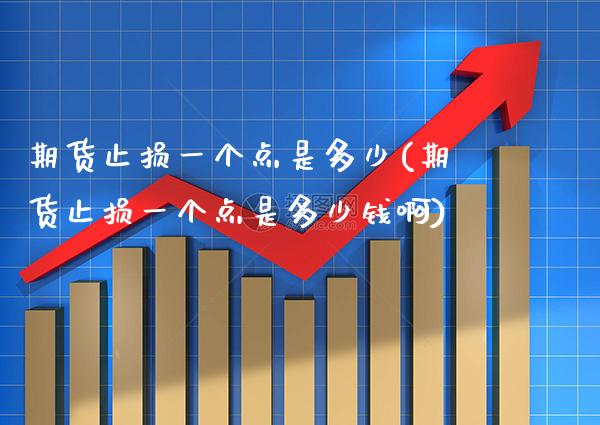 期货止损一个点是多少(期货止损一个点是多少钱啊)_https://www.xmqjcw.com_期货行情_第1张
