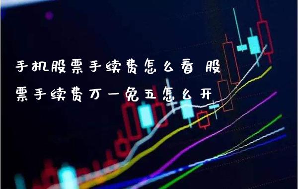 手机股票手续费怎么看 股票手续费万一免五怎么开_https://www.xmqjcw.com_股票投资_第1张