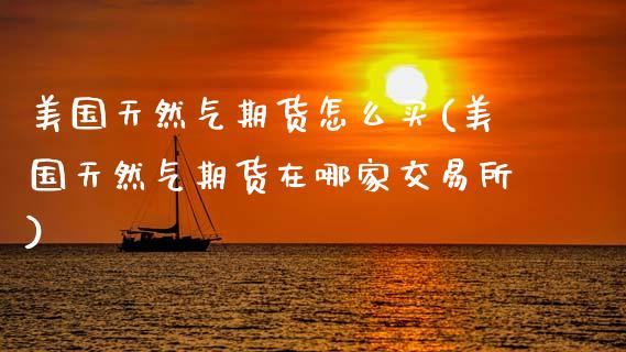 美国天然气期货怎么买(美国天然气期货在哪家交易所)_https://www.xmqjcw.com_期货投资_第1张