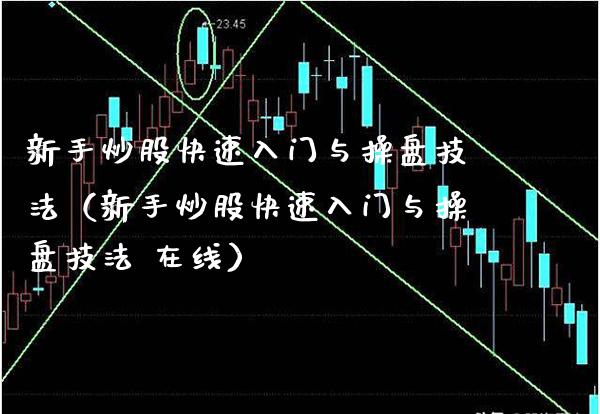 新手炒股快速入门与操盘技法（新手炒股快速入门与操盘技法 在线）_https://www.xmqjcw.com_期货开户_第1张