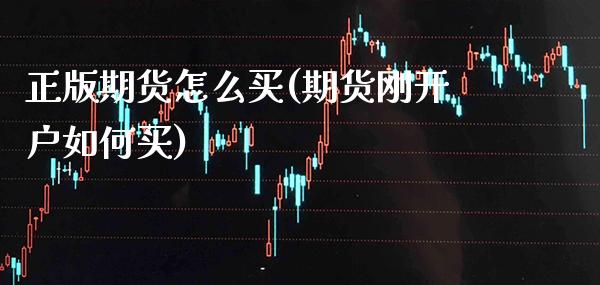 正版期货怎么买(期货刚开户如何买)_https://www.xmqjcw.com_期货开户_第1张
