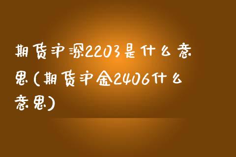 期货沪深2203是什么意思(期货沪金2406什么意思)_https://www.xmqjcw.com_期货百科_第1张
