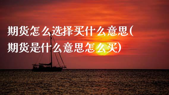 期货怎么选择买什么意思(期货是什么意思怎么买)_https://www.xmqjcw.com_期货开户_第1张