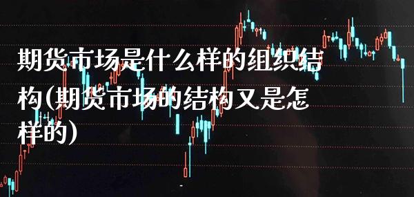 期货市场是什么样的组织结构(期货市场的结构又是怎样的)_https://www.xmqjcw.com_期货行情_第1张