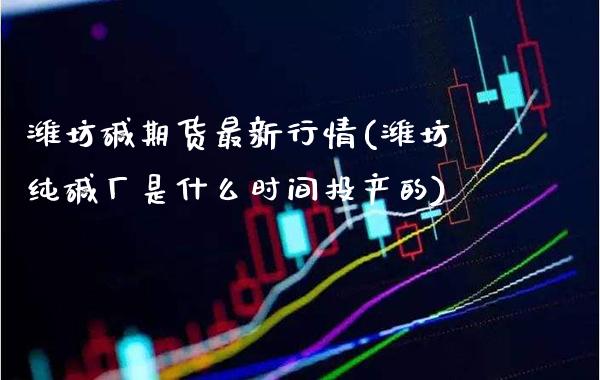潍坊碱期货最新行情(潍坊纯碱厂是什么时间投产的)_https://www.xmqjcw.com_期货直播室_第1张