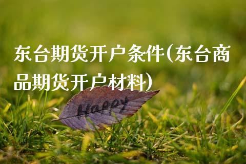 东台期货开户条件(东台商品期货开户材料)_https://www.xmqjcw.com_基金理财_第1张