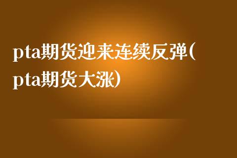 pta期货迎来连续反弹(pta期货大涨)_https://www.xmqjcw.com_期货百科_第1张
