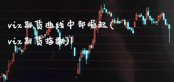 vix期货曲线中部崛起(vix期货指数)_https://www.xmqjcw.com_期货直播室_第1张