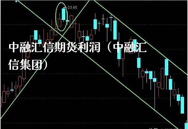中融汇信期货利润（中融汇信集团）_https://www.xmqjcw.com_期货投资_第1张