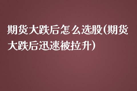 期货大跌后怎么选股(期货大跌后迅速被拉升)_https://www.xmqjcw.com_期货百科_第1张