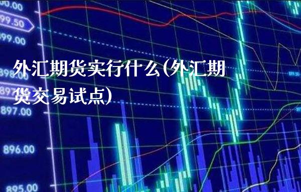 外汇期货实行什么(外汇期货交易试点)_https://www.xmqjcw.com_期货行情_第1张