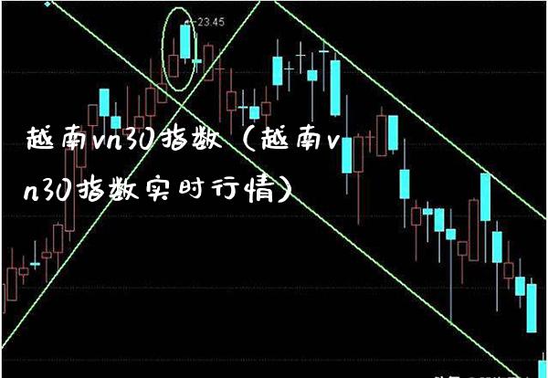 越南vn30指数（越南vn30指数实时行情）_https://www.xmqjcw.com_期货直播室_第1张