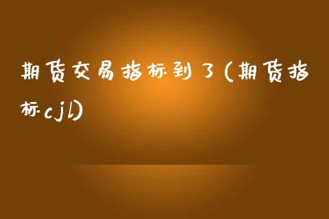 期货交易指标到了(期货指标cjl)_https://www.xmqjcw.com_期货百科_第1张