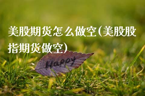 美股期货怎么做空(美股股指期货做空)_https://www.xmqjcw.com_期货百科_第1张