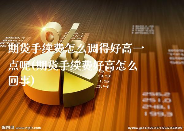 期货手续费怎么调得好高一点呢(期货手续费好高怎么回事)_https://www.xmqjcw.com_股票投资_第1张