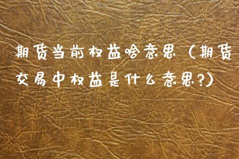 期货当前权益啥意思（期货交易中权益是什么意思?）_https://www.xmqjcw.com_期货投资_第1张