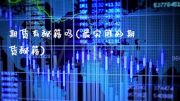 期货有秘籍吗(最实用的期货秘籍)_https://www.xmqjcw.com_期货投资_第1张