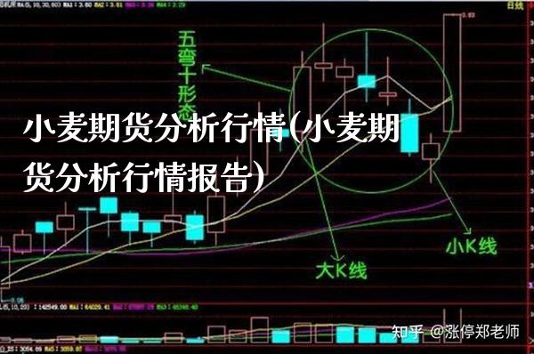 小麦期货分析行情(小麦期货分析行情报告)_https://www.xmqjcw.com_期货直播室_第1张