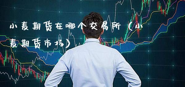 小麦期货在哪个交易所（小麦期货市场）_https://www.xmqjcw.com_期货投资_第1张