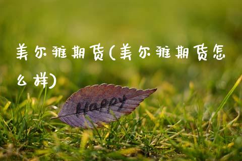 美尔雅期货(美尔雅期货怎么样)_https://www.xmqjcw.com_期货投资_第1张