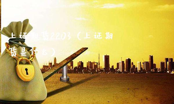 上证期货2203（上证期货是什么）_https://www.xmqjcw.com_期货投资_第1张