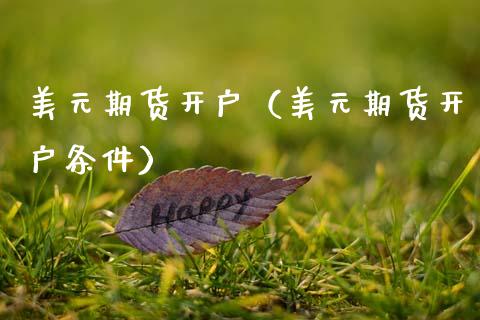 美元期货开户（美元期货开户条件）_https://www.xmqjcw.com_期货行情_第1张