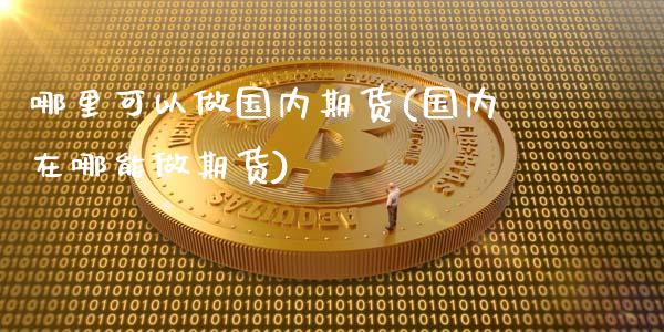 哪里可以做国内期货(国内在哪能做期货)_https://www.xmqjcw.com_期货百科_第1张