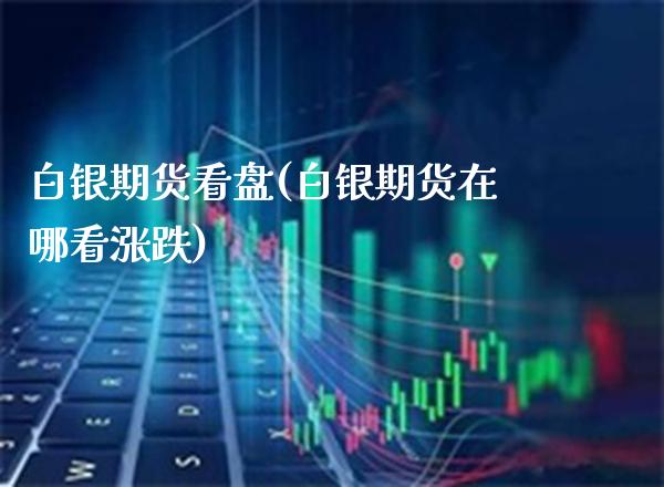 白银期货看盘(白银期货在哪看涨跌)_https://www.xmqjcw.com_期货直播室_第1张
