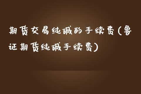期货交易纯碱的手续费(鲁证期货纯碱手续费)_https://www.xmqjcw.com_基金理财_第1张