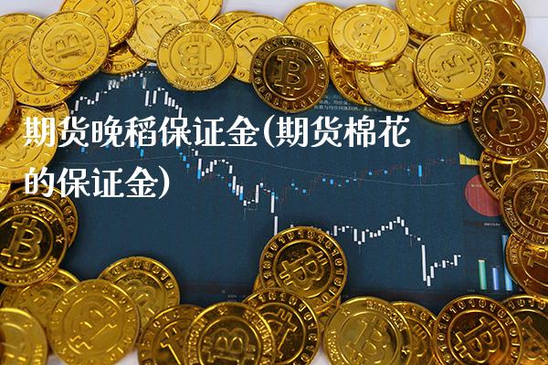期货晚稻保证金(期货棉花的保证金)_https://www.xmqjcw.com_期货开户_第1张