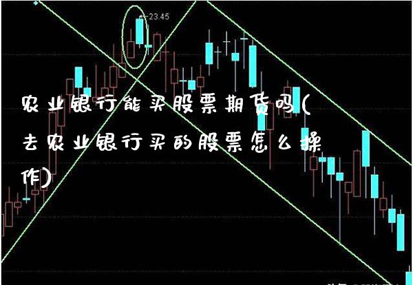 农业银行能买股票期货吗(去农业银行买的股票怎么操作)_https://www.xmqjcw.com_期货行情_第1张