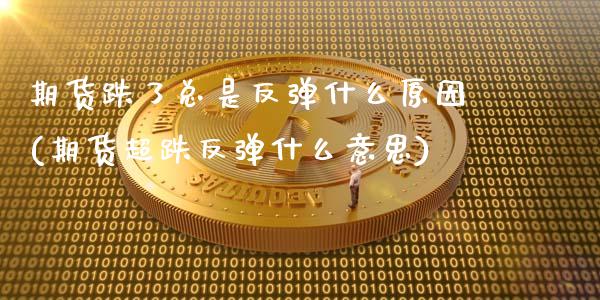 期货跌了总是反弹什么原因(期货超跌反弹什么意思)_https://www.xmqjcw.com_期货百科_第1张
