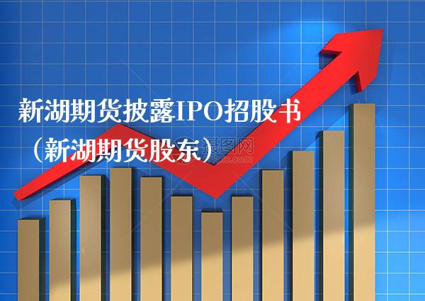 新湖期货披露IPO招股书（新湖期货股东）_https://www.xmqjcw.com_期货直播室_第1张