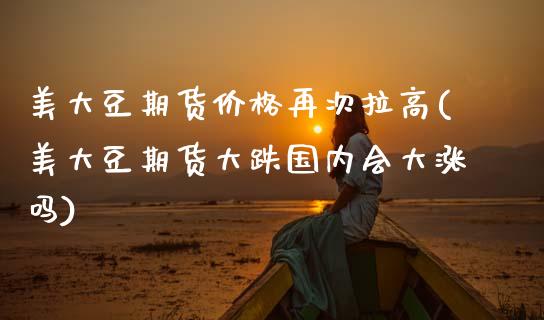 美大豆期货价格再次拉高(美大豆期货大跌国内会大涨吗)_https://www.xmqjcw.com_期货开户_第1张