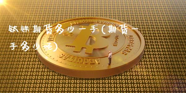 钛铁期货多少一手(期货一手多少吨)_https://www.xmqjcw.com_期货百科_第1张