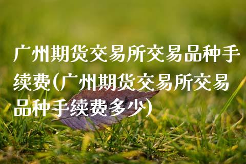 广州期货交易所交易品种手续费(广州期货交易所交易品种手续费多少)_https://www.xmqjcw.com_期货投资_第1张