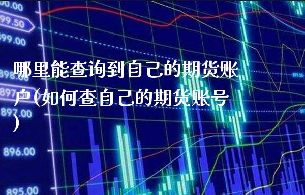 哪里能查询到自己的期货账户(如何查自己的期货账号)_https://www.xmqjcw.com_期货开户_第1张