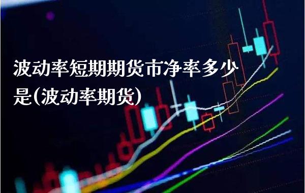 波动率短期期货市净率多少是(波动率期货)_https://www.xmqjcw.com_基金理财_第1张