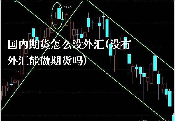 国内期货怎么没外汇(没有外汇能做期货吗)_https://www.xmqjcw.com_期货直播室_第1张