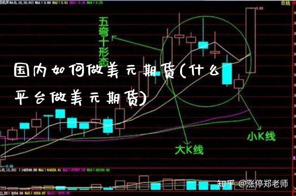 国内如何做美元期货(什么平台做美元期货)_https://www.xmqjcw.com_期货百科_第1张