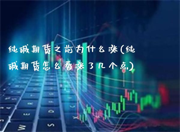 纯碱期货之前为什么涨(纯碱期货怎么看涨了几个点)_https://www.xmqjcw.com_期货百科_第1张